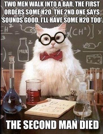 Science%20Cat.jpg